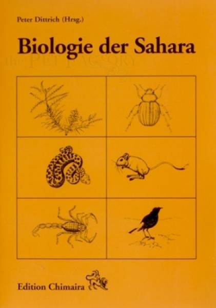 Biologie der Sahara
